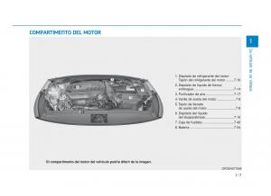 Hyundai-i30N-Performance-manual-del-propietario page 17 min