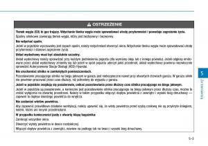 Hyundai-i30N-Performance-instrukcja-obslugi page 252 min