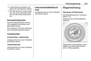 Opel-Grandland-X-Handbuch page 233 min