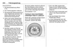 Opel-Grandland-X-Handbuch page 246 min