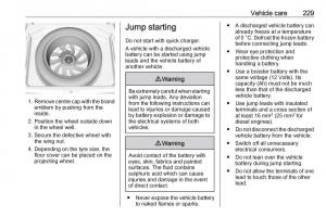 Opel-Grandland-X-owners-manual page 231 min