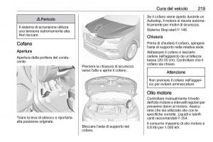 Opel-Grandland-X-manuale-del-proprietario page 221 min