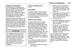 Opel-Insignia-B-Handbuch page 217 min