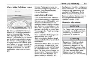 Opel-Insignia-B-Handbuch page 219 min