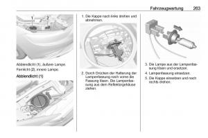 Opel-Insignia-B-Handbuch page 265 min