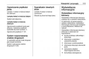 Opel-Insignia-B-instrukcja-obslugi page 113 min