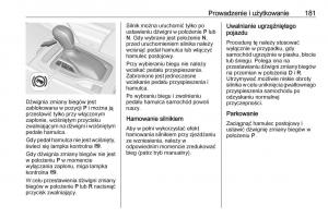 Opel-Insignia-B-instrukcja-obslugi page 183 min