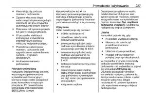 Opel-Insignia-B-instrukcja-obslugi page 229 min