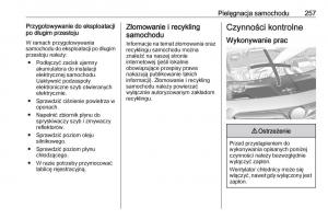 Opel-Insignia-B-instrukcja-obslugi page 259 min