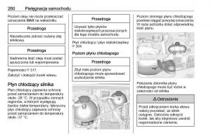 Opel-Insignia-B-instrukcja-obslugi page 262 min