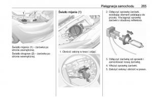 Opel-Insignia-B-instrukcja-obslugi page 267 min